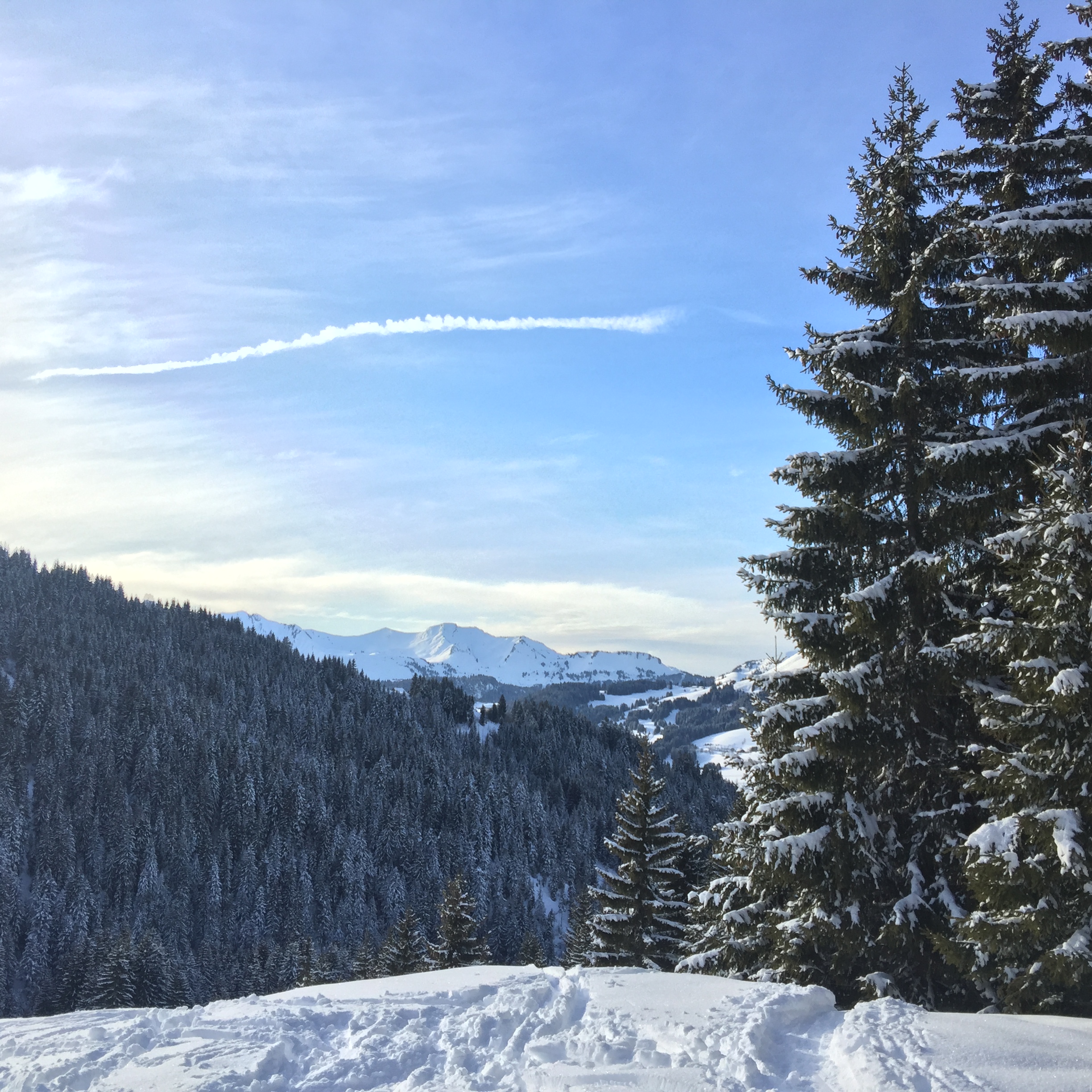 Alps-View