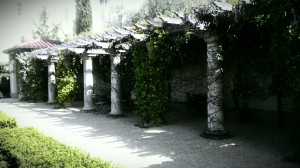 TheDuaneWells.com - Garden at Chateau St. Jean