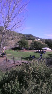 TheDuaneWells.com - Imagery Estate Winery Lawn