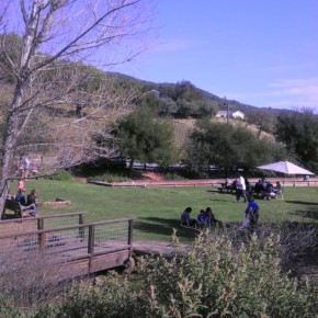 TheDuaneWells.com - Imagery Estate Winery Lawn