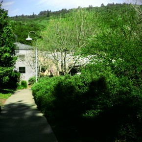 TheDuaneWells.com - Walkway at Imagery Estate Winery