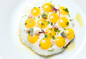 Tres - 12 Quail Eggs Sunny Side Up - TheDuaneWells.com