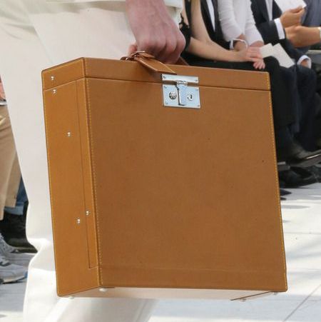 Case - Louis Vuitton S/S 2015