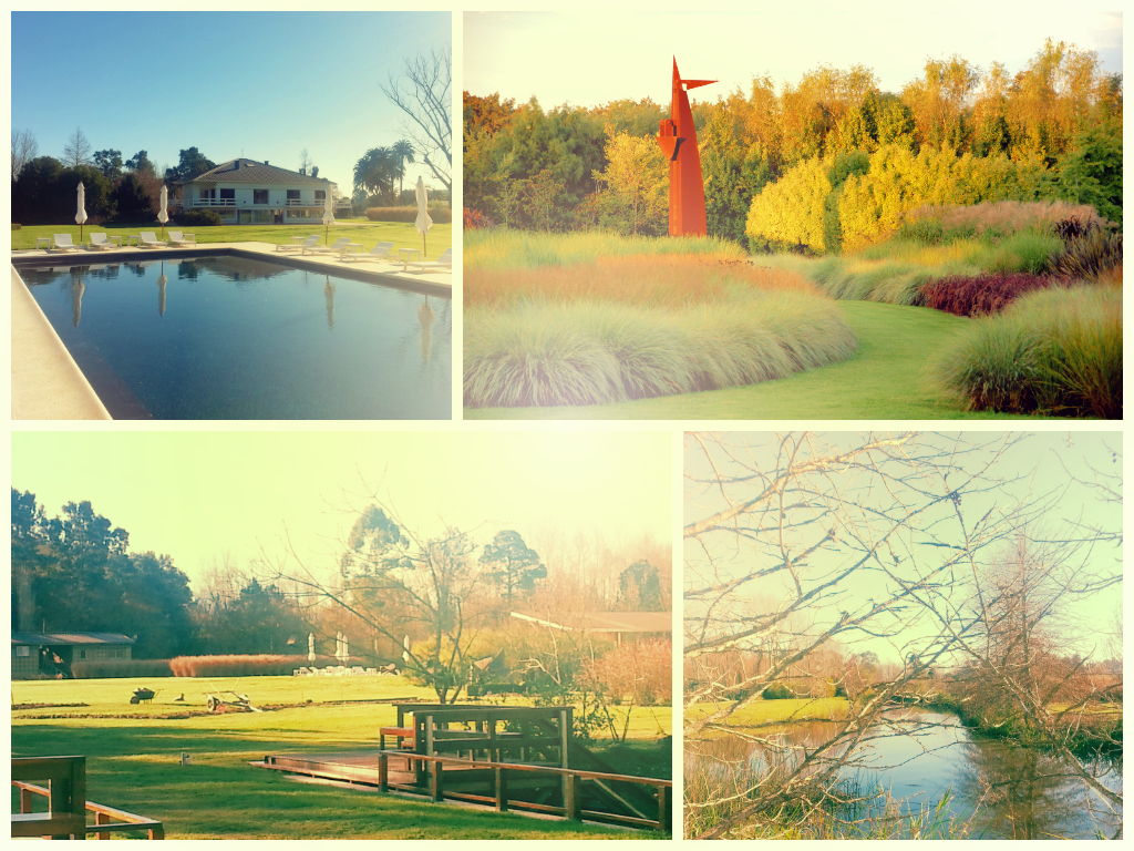 Isla El Descanso, Tigre