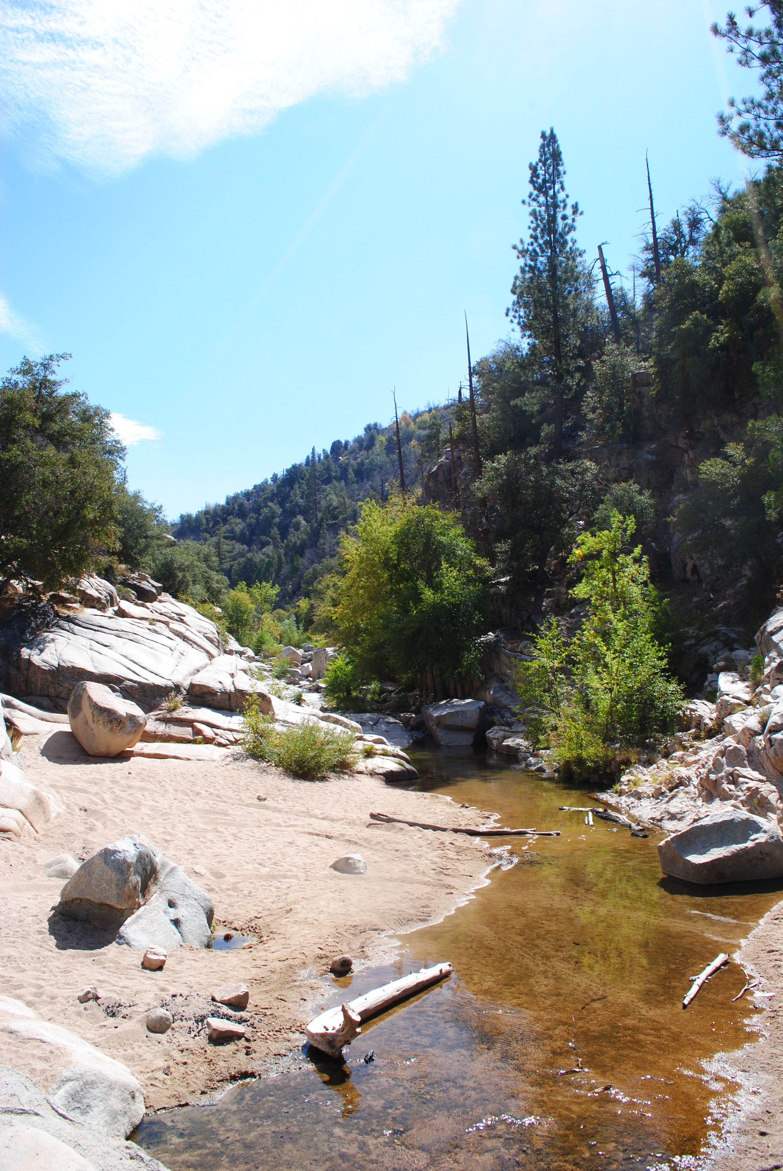 Another stream on the ATV tour