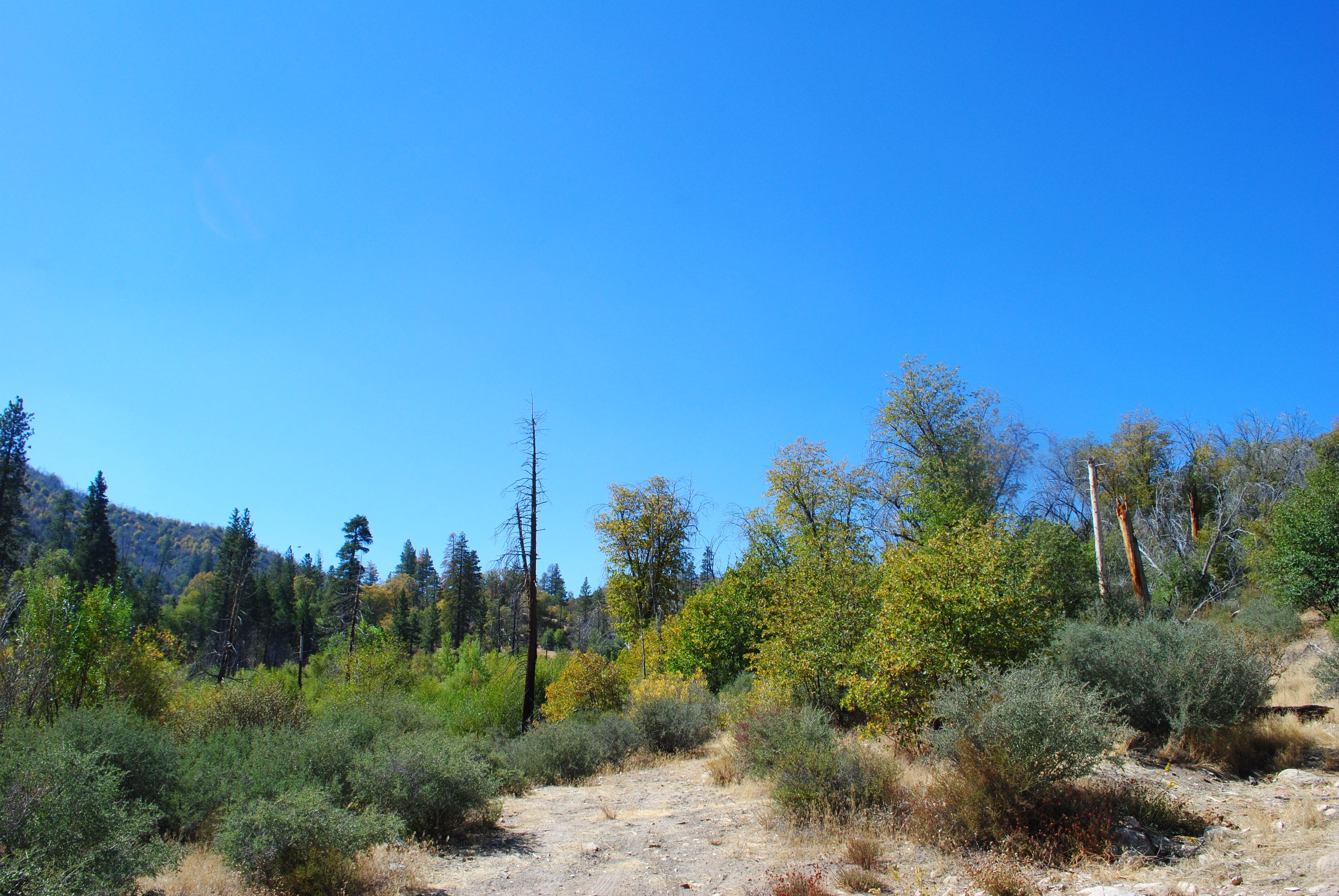 A snapshot of one of the main trails in Lake Arrowhead
