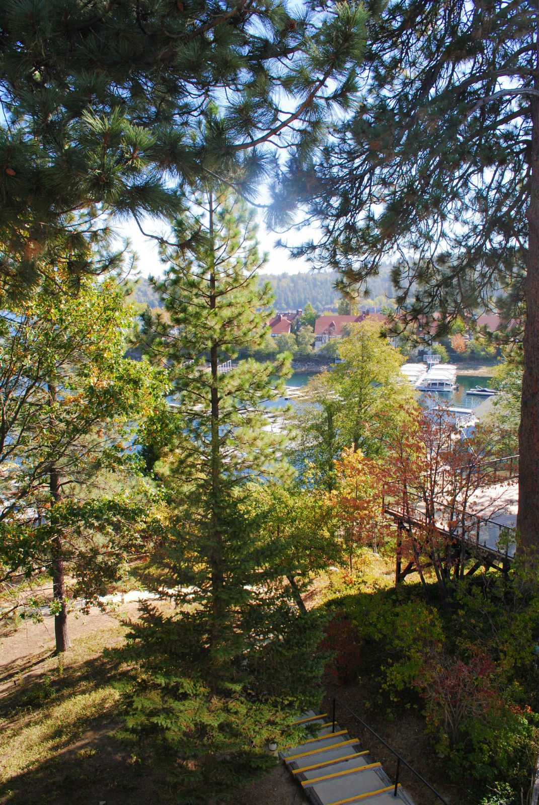 Terrace View | Sky Forest Suite, Lake Arrowhead Resort