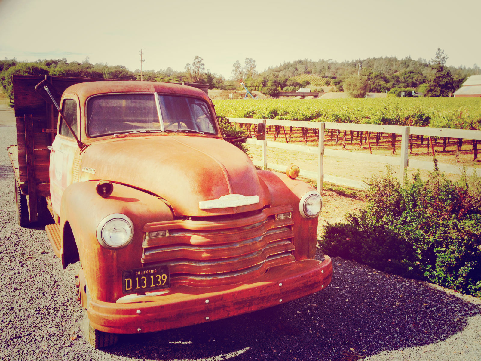 Lawn Art, Geyserville Inn