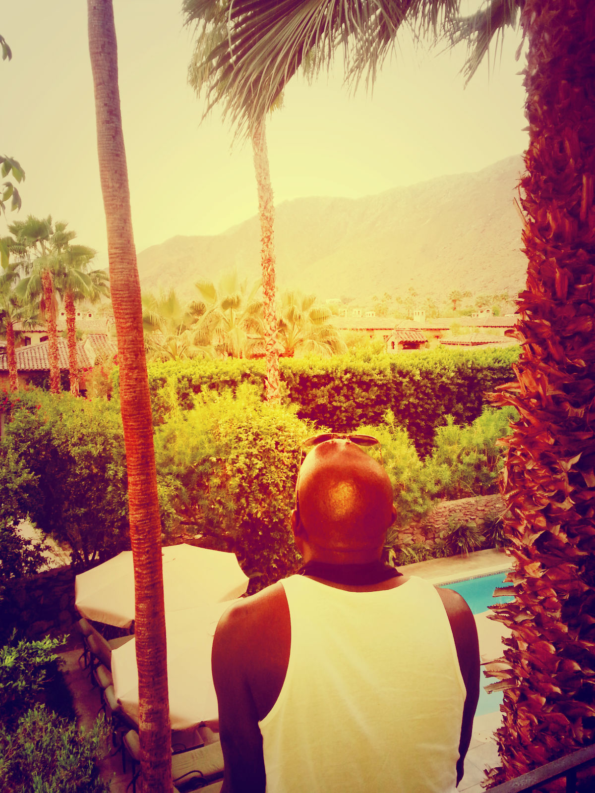 Sunset at The Willows