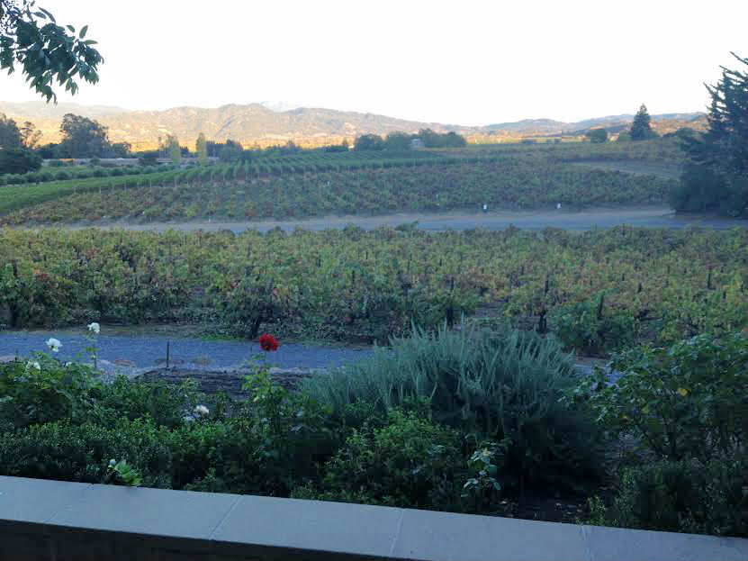 View from Francis Ford Coppola Winery