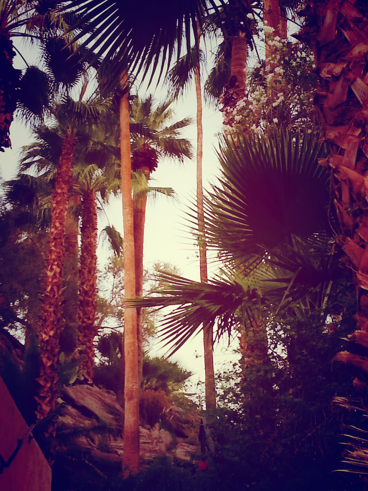 A view from The Willows