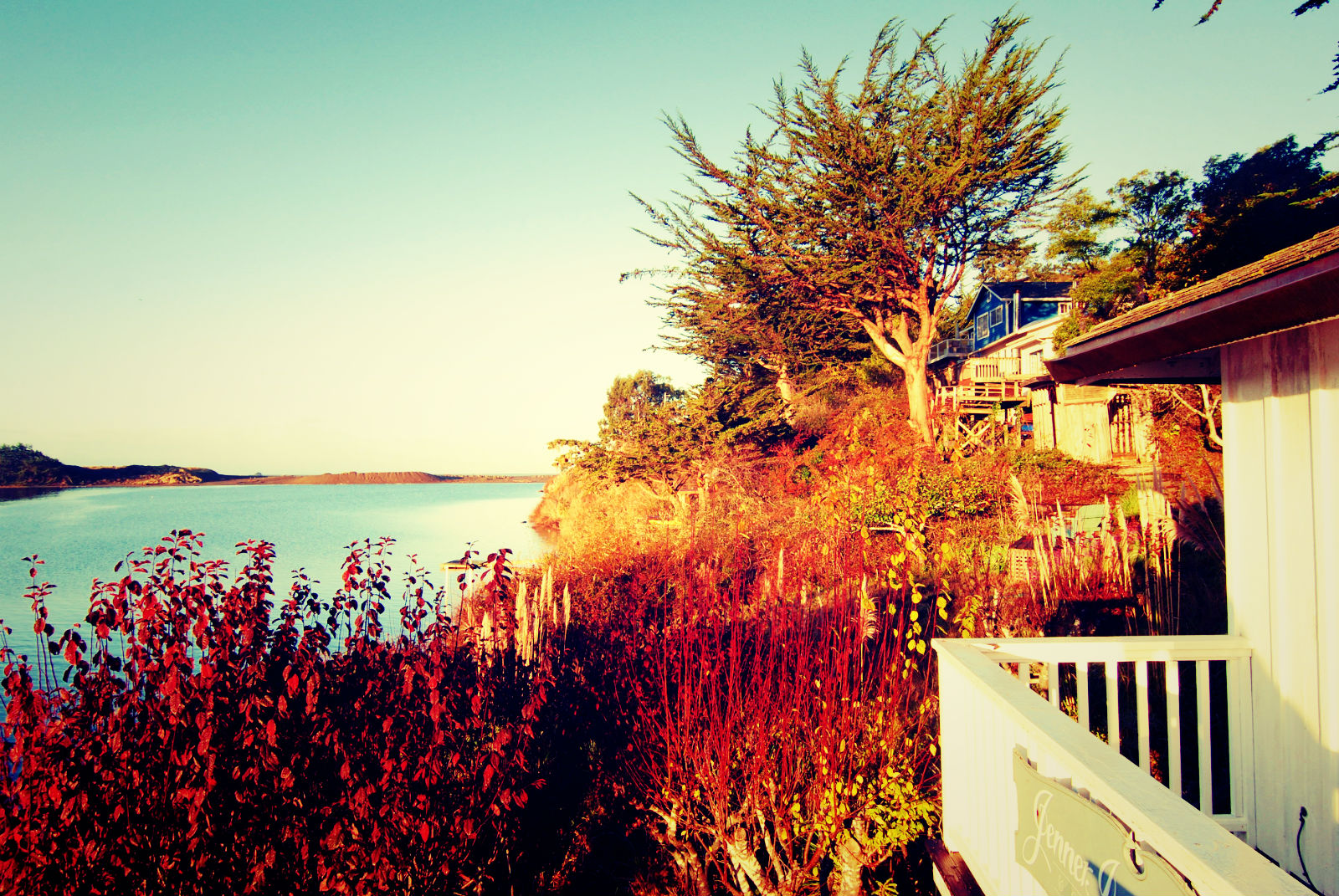 Another morning view, Rosewood Suite, Jenner Inn