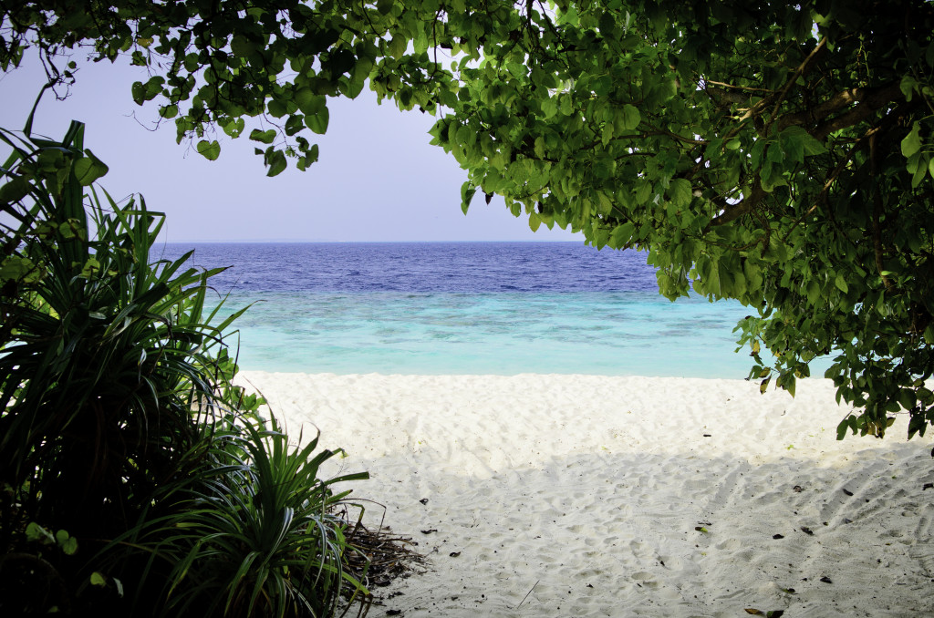 Amilla-Beach-House-Beach