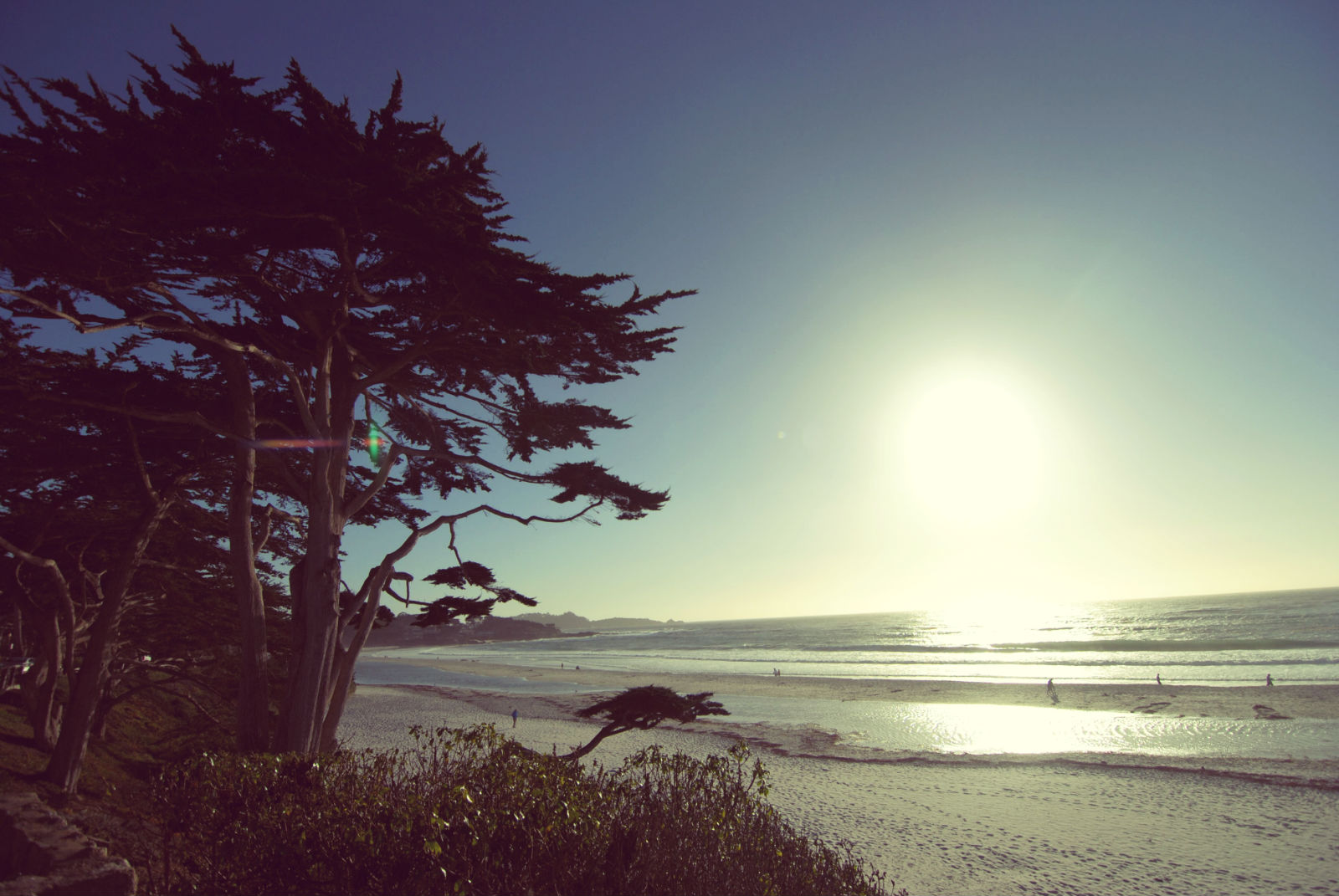 Scenes from the Carmel Coast