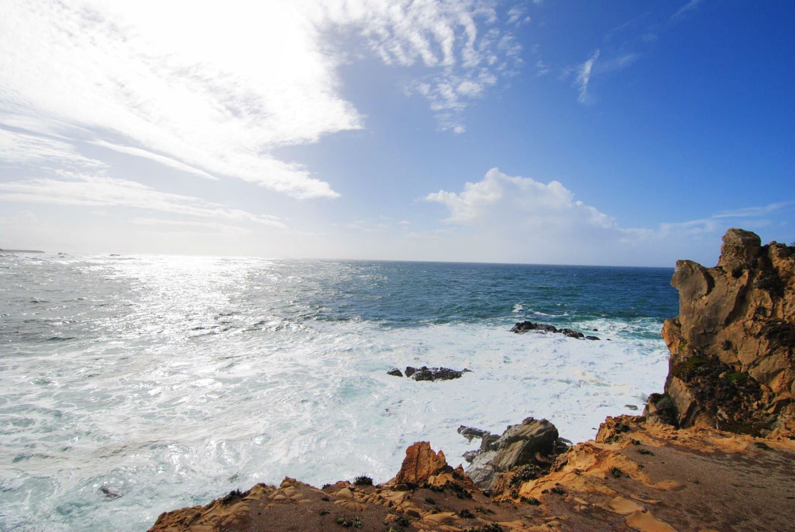 Scenes from Timber Cove