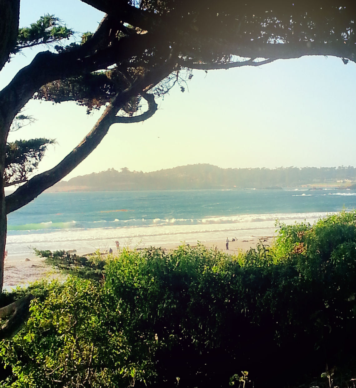 Scenes from the Carmel Coast