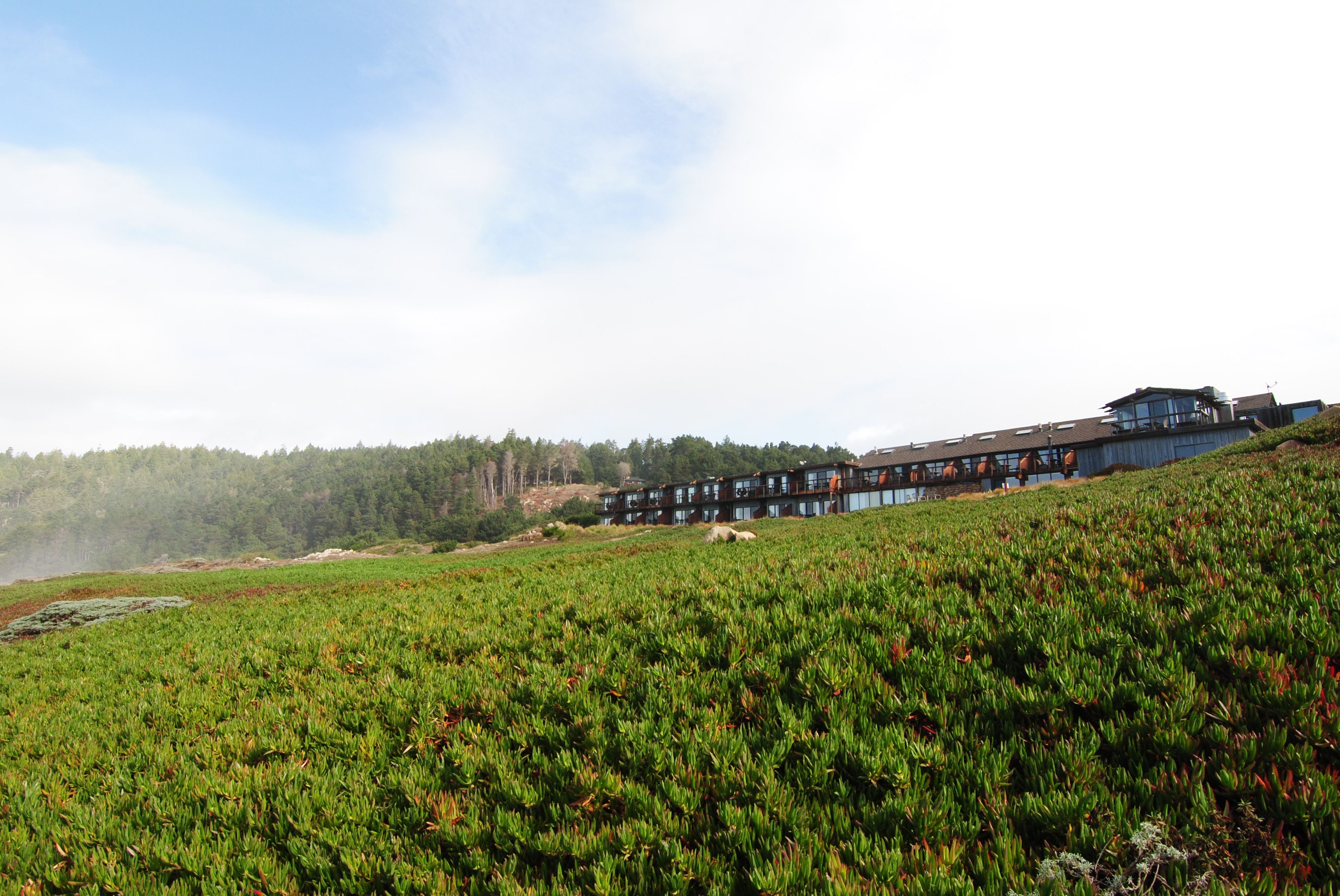 Timber Cove Inn, yet another view