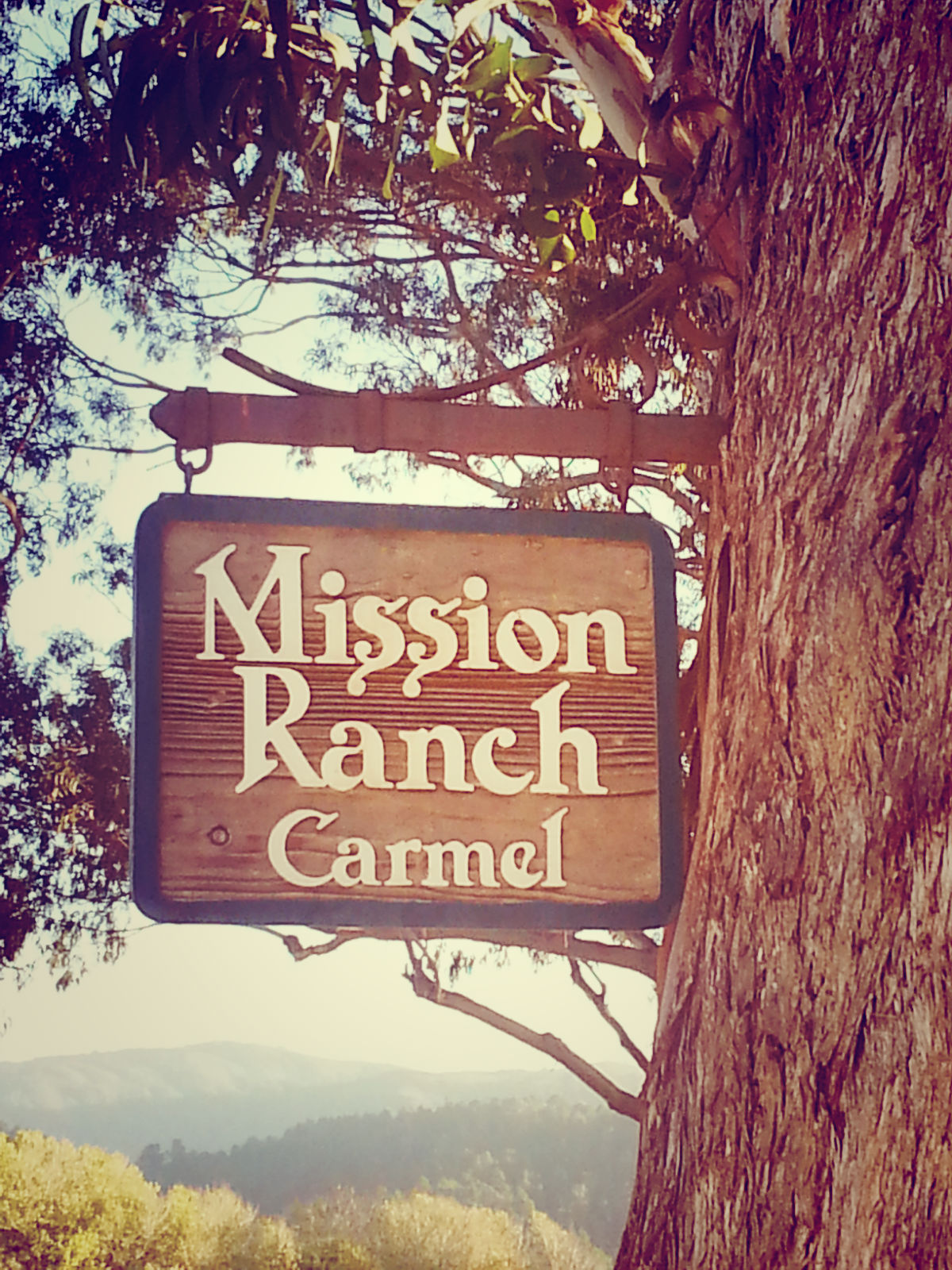 Welcome to the Mission Ranch