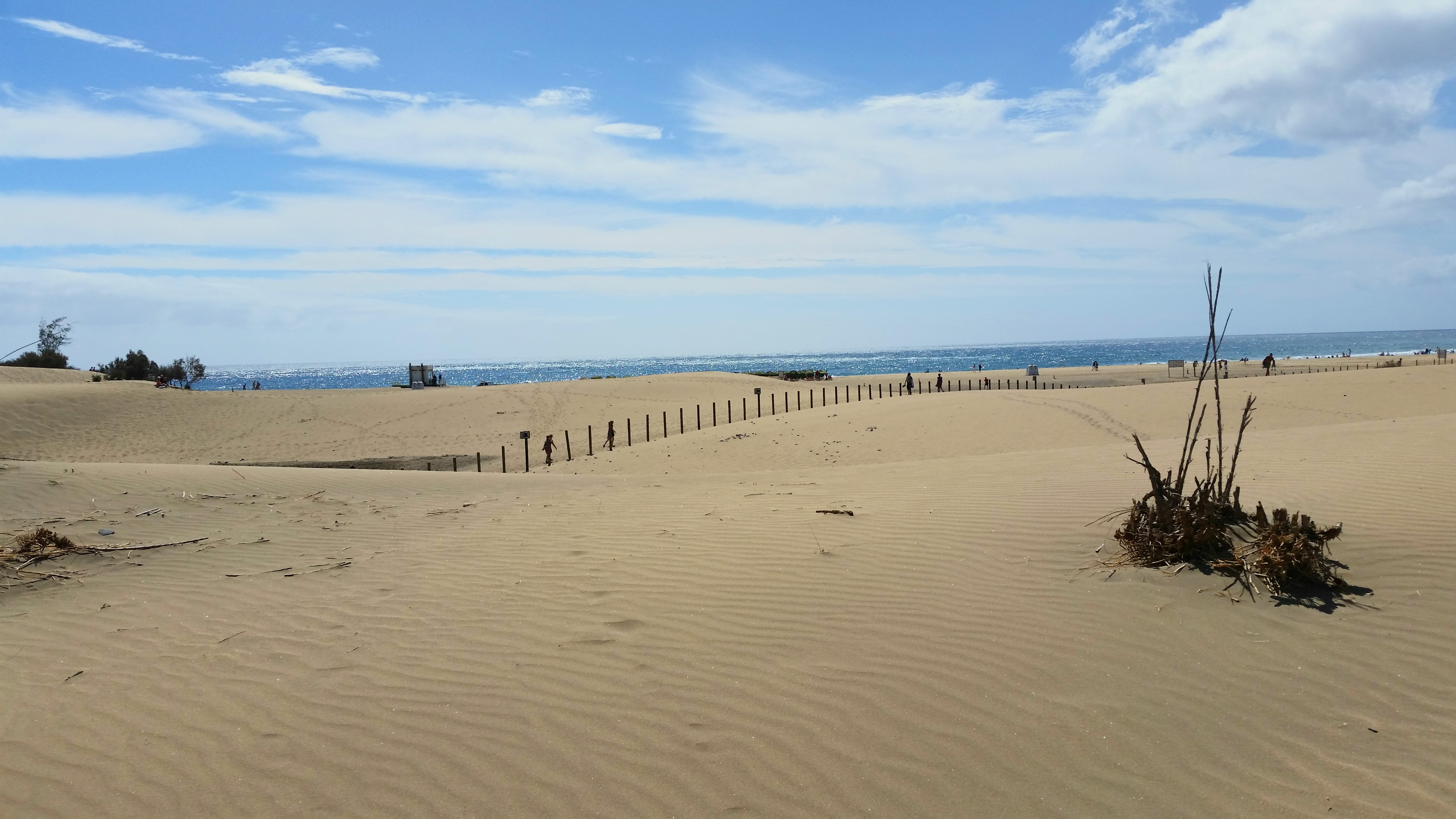 Maspalomas Dunes