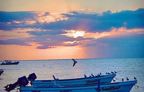 The Bioluminescent Lights of Isla Holbox