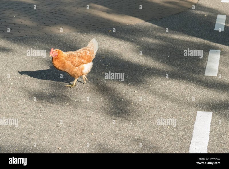 La vera storia di Chicken Road: il gioco d'azzardo più popolare in Italia - panoramica